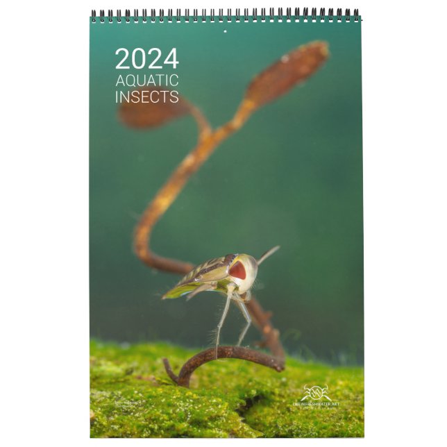 Calendário 2024 - Insetos aquáticos (Capa)