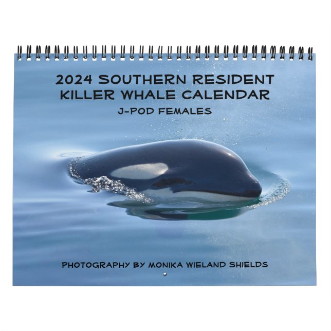 Calendário 2024 Residente no Sul da Baleia Assassi (Capa)