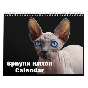 Calendário 2024 Sphynx Kitten