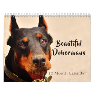 Calendário 2025 Belos Dobermans