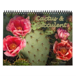 Calendário 2025 Cactus & Succulent Flower (Versão original)