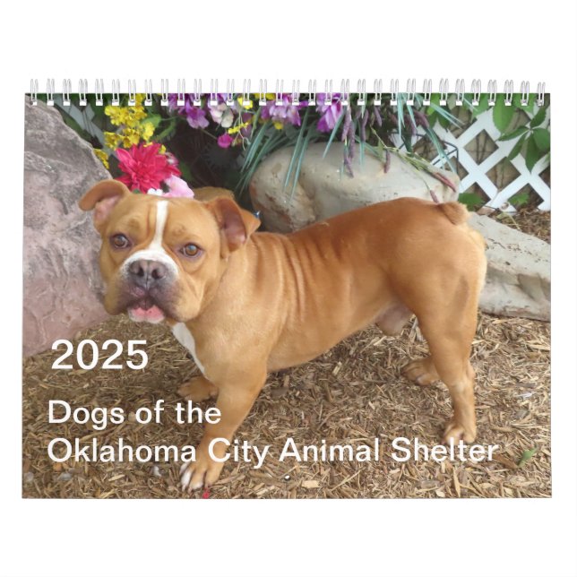 Calendário 2025 Cães do Abrigo Animal da Cidade de Oklahoma (Capa)