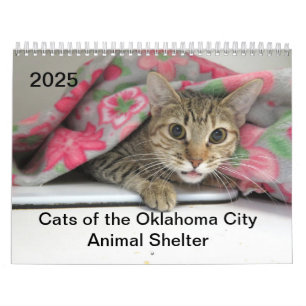 Calendário 2025 Cats of the Oklahoma City Animal Shelter