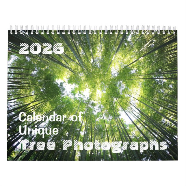Calendário 2025 de Fotografias de Árvore Exclusiva (Capa)