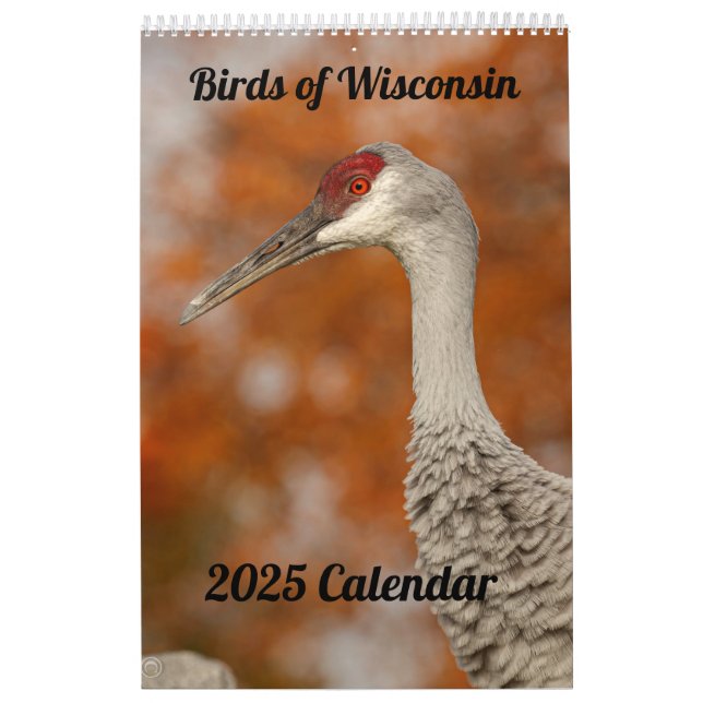 Calendário 2025 de Wisconsin Birds (Capa)