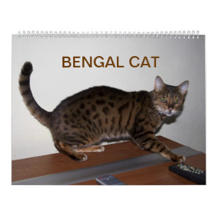 Calendário 2025 Gorgeous Bengal Cats