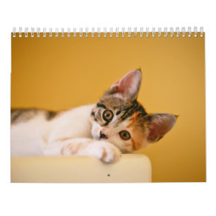 Calendário 2025 Patas e Sussurros