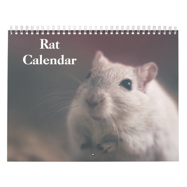 Calendário 2025 Rat (Capa)