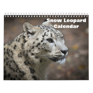 Calendário 2025 sobre leopardo-das-neve