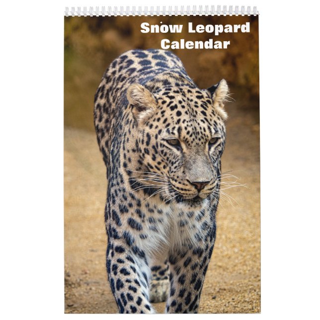 Calendário 2025 sobre leopardo-das-neve (Capa)