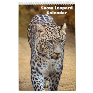 Calendário 2025 sobre leopardo-das-neve