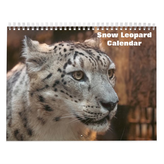 Calendário 2025 sobre leopardo-das-neve (Capa)