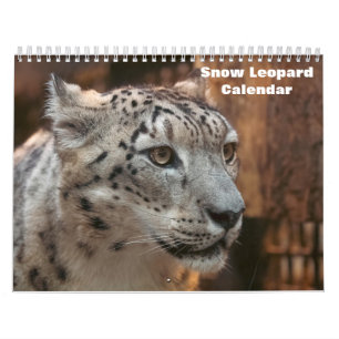 Calendário 2025 sobre leopardo-das-neve