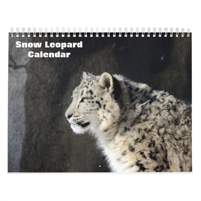 Calendário 2025 sobre leopardo-das-neve (Capa)