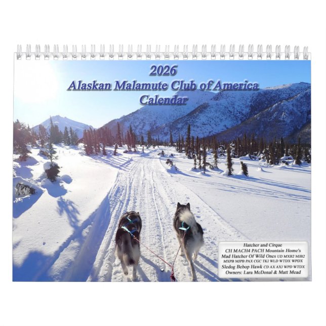 Calendário 2026 Alaskan Malamute Club of America Calendar (Capa)