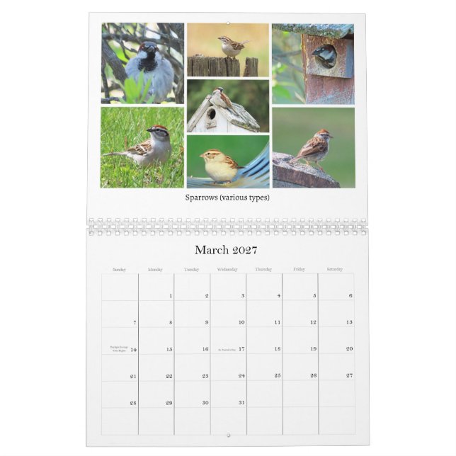 Calendário 2026 Backyard Birding Calendar (Mar 2027)