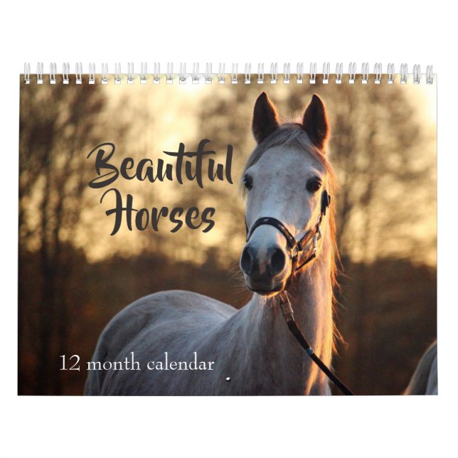 Calendário 2026 Belos Cavalos (Capa)