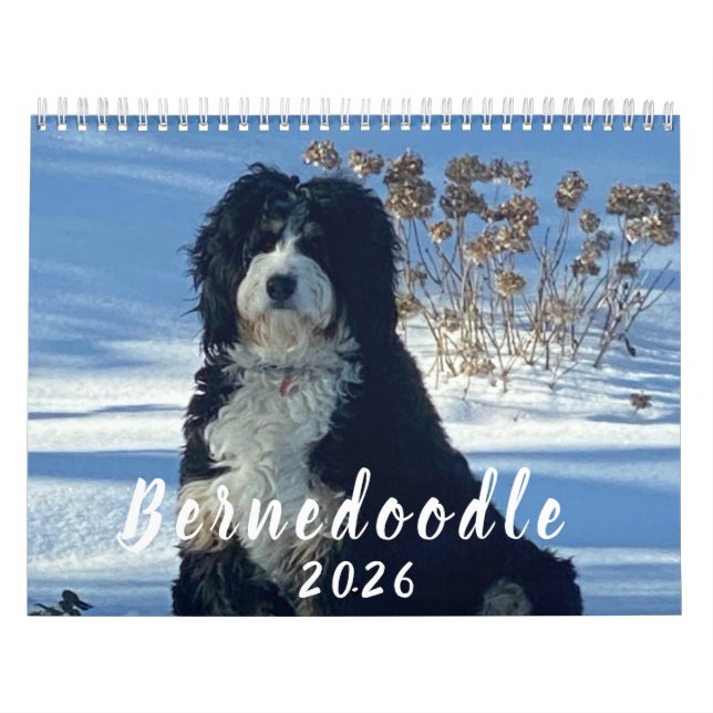 Calendário 2026 Bernedoodle photo Calendar (Capa)