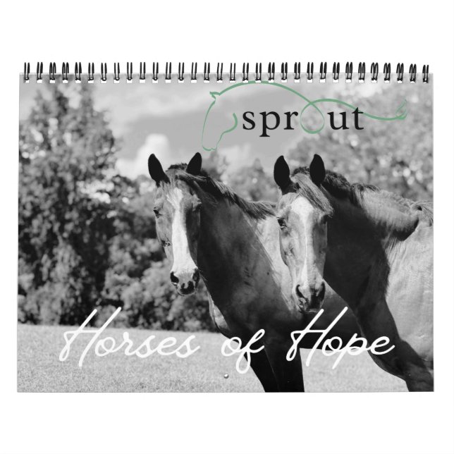 Calendário 2026 Calendar (Capa)