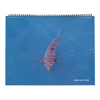 Calendário 2026 Calendar Airpilikia 