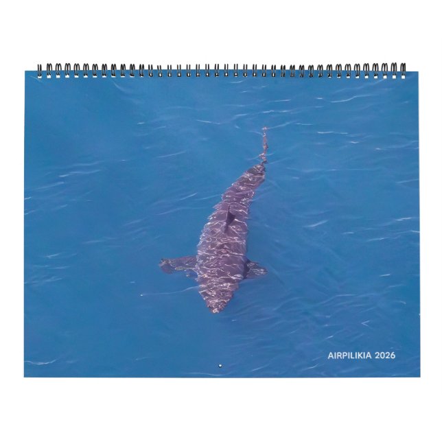 Calendário 2026 Calendar Airpilikia  (Capa)