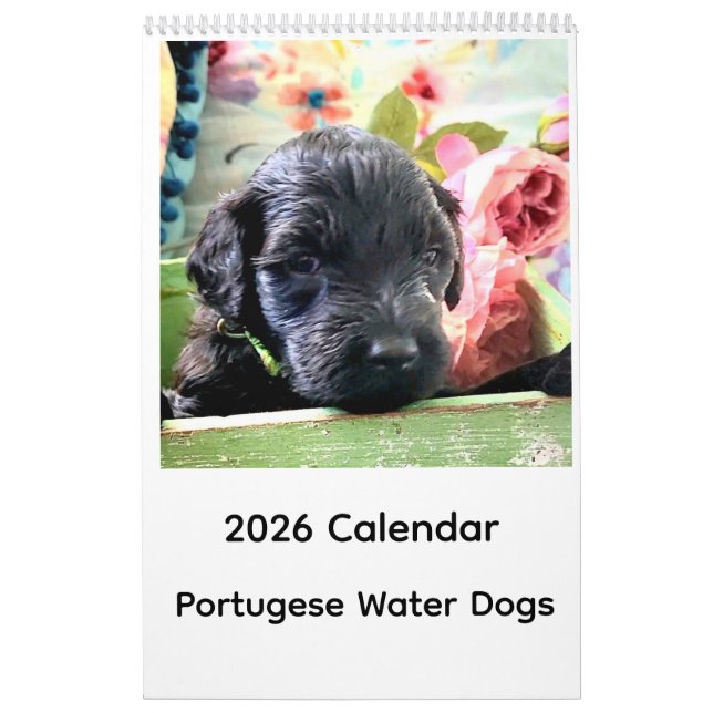 Calendário 2026 Calendar Portuguese Water Dog (Capa)