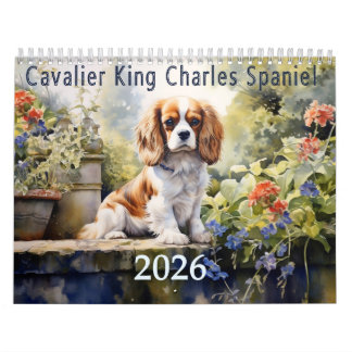 Calendário 2026 Cavalier King Charles Spaniel