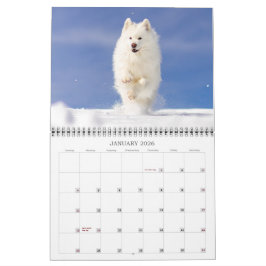 Calendário 2026 CRB Calendar