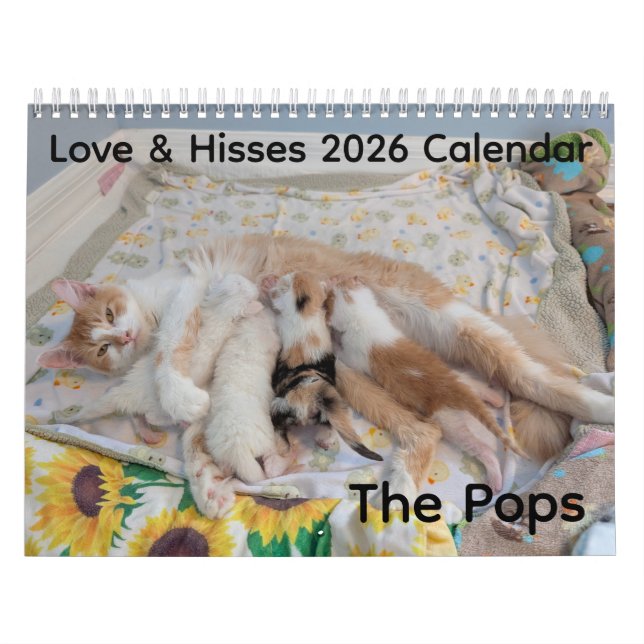 Calendário 2026 de Amor e Sibilos - os Pops (Capa)