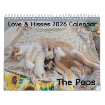 Calendário 2026 de Amor e Sibilos - os Pops