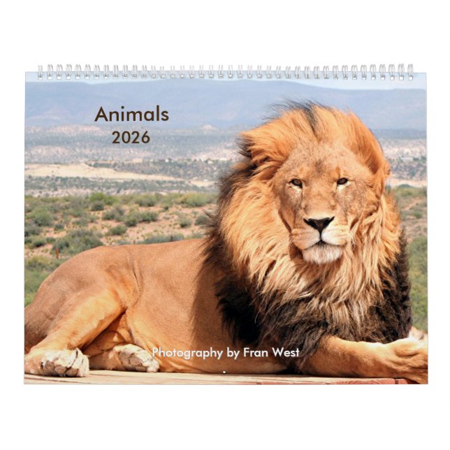 Calendário 2026 dos animais (Capa)