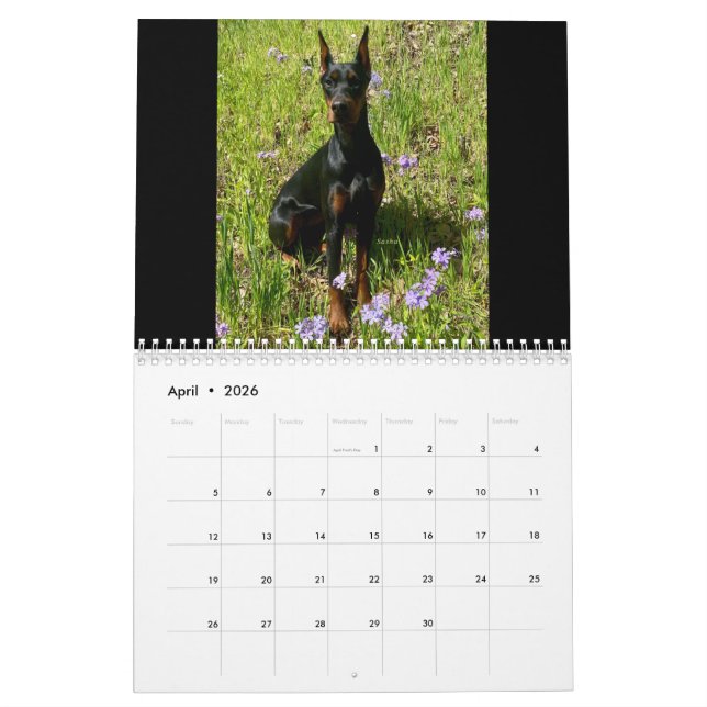 Calendário 2026 DT Calendar (Abr 2026)