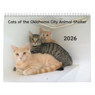 Calendário 2026 Gatos do Abrigo Animal da Cidade de Oklahoma