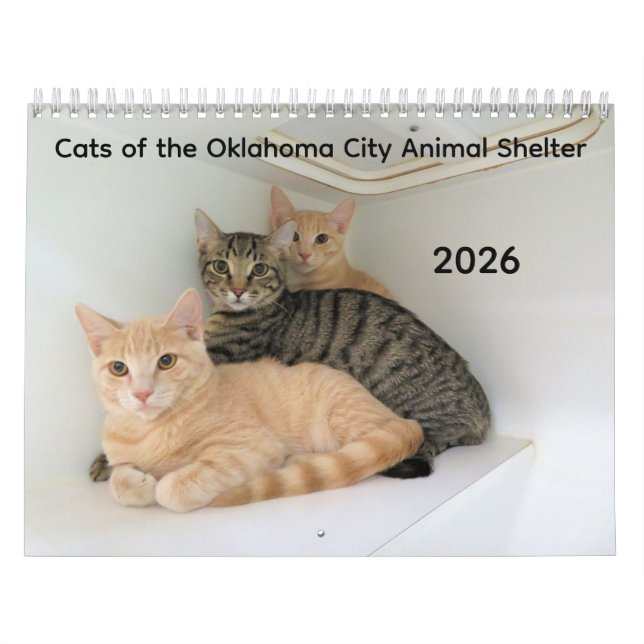 Calendário 2026 Gatos do Abrigo Animal da Cidade de Oklahoma (Capa)
