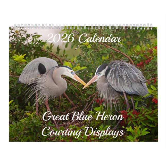Calendário 2026 Great Blue Heron Courting Displays Calendar (Capa)