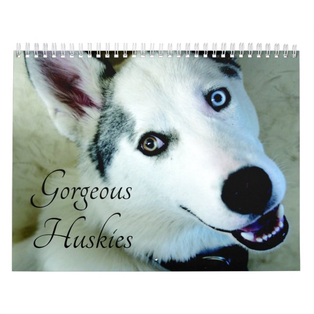 Calendário 2026 Grelha de Cachorros Siberianos (Capa)