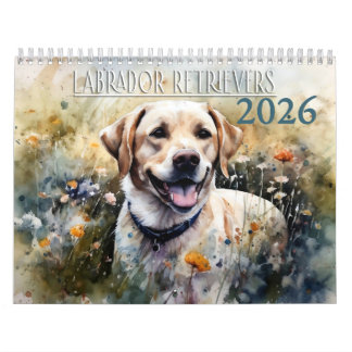 Calendário 2026 Labrador Retriever