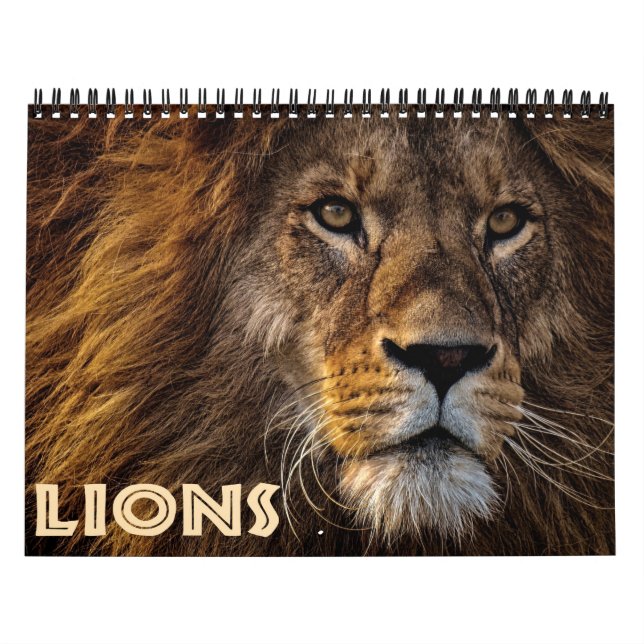 Calendário 2026 Leões Selvagens (Capa)
