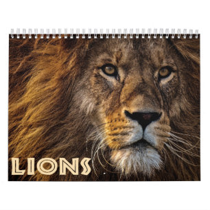 Calendário 2026 Leões Selvagens