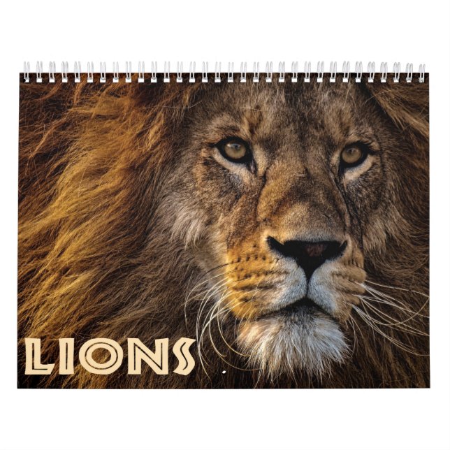 Calendário 2026 Leões Selvagens (Capa)
