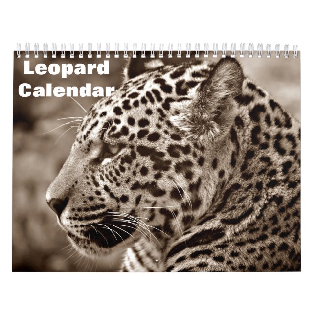 Calendário 2026 Leopardo (Capa)