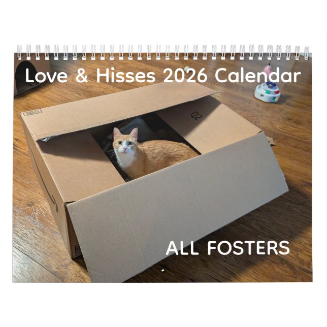 Calendário 2026 Love & Hisses Calendar - ALL FOSTERS (Capa)