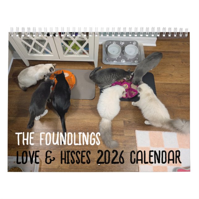 Calendário 2026 Love & Hisses Calendar - the Foundlings (Capa)