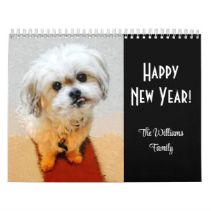 Calendário 2026 Malshi 12 Meses