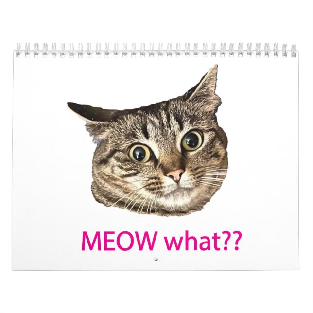 Calendário 2026 MEOW what?? Calendar (Capa)