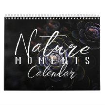 Calendário 2026 Momentos da Natureza pela Meggidoo