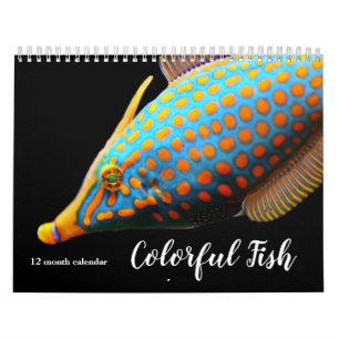 Calendário 2026 Peixes Coloridos