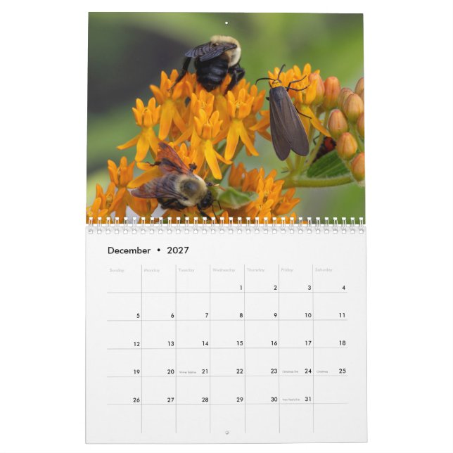 Calendário 2026 Pollinator’s Perspective: A Year of Wings (Dez 2027)