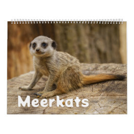 Calendário 2026 por ano com Meerkats
