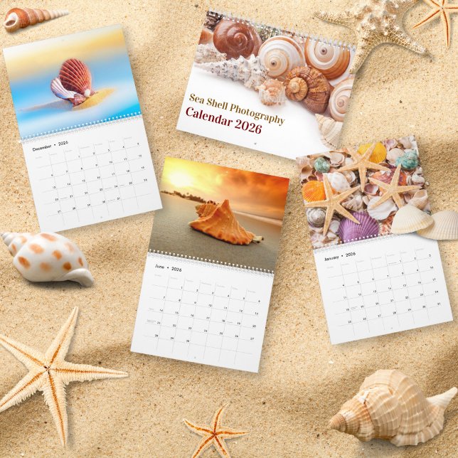 Calendário 2026 Sea Shell | Coastal  Shell Photography (Criador carregado)